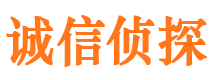 镇沅侦探公司